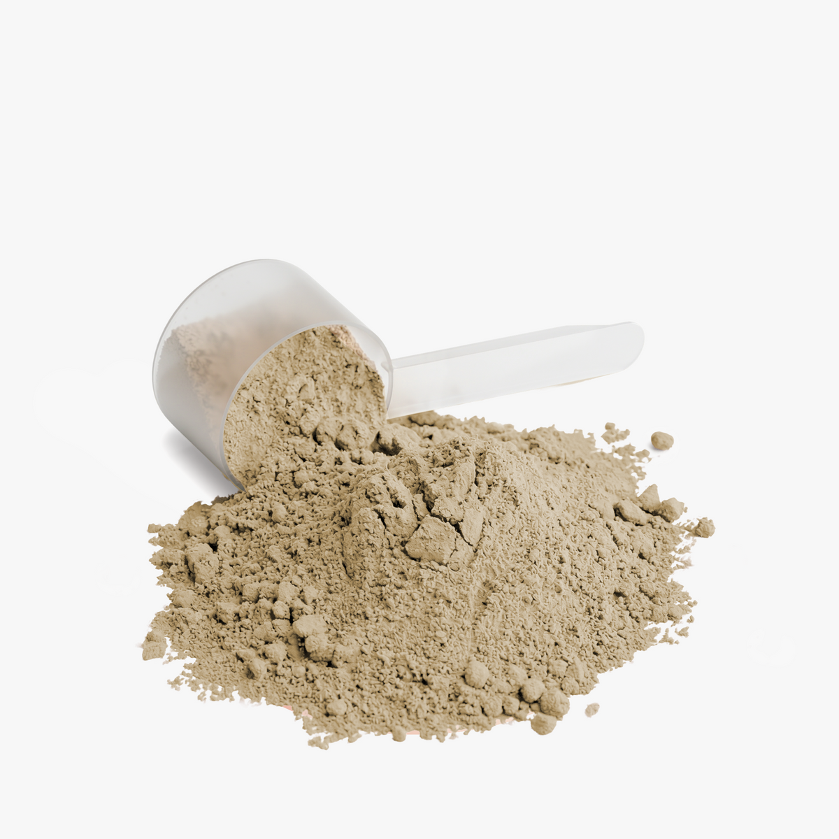 Biocharge Plant Protein (Vanilla)